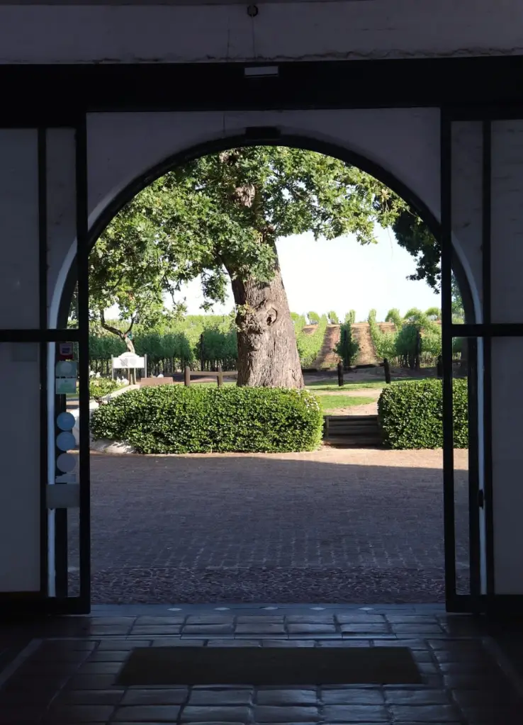 Conheça Groot Constantia